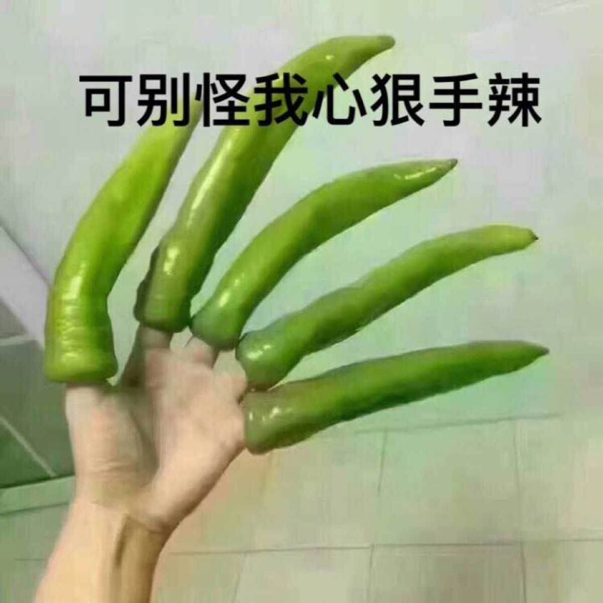 可别怪我心狠手辣