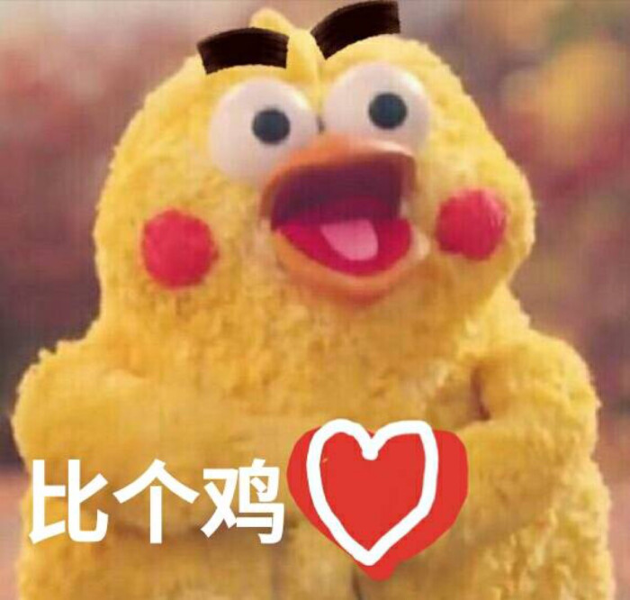 搞怪头像 萌宠 鹦鹉兄弟 皮皮珍!