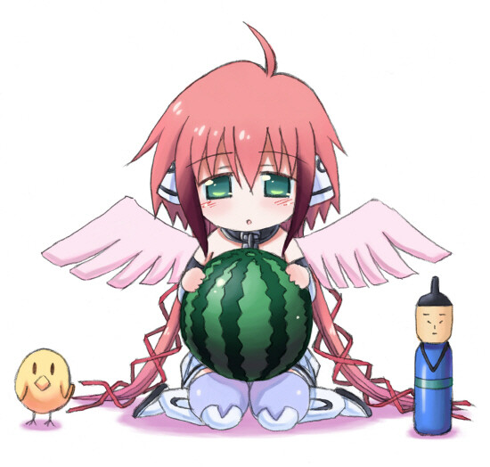 天降之物 そらのおとしもの