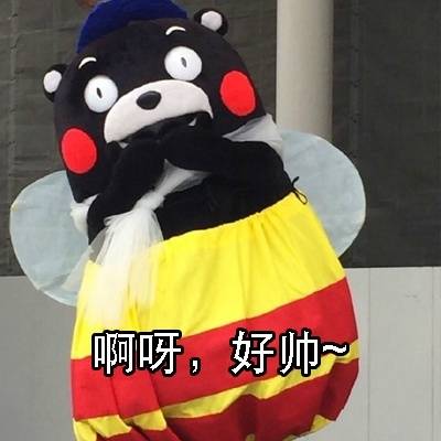 表情包 熊本熊 帅 花痴 迷妹 搞笑 可爱 斗图 表情 装逼 撕逼 撩妹