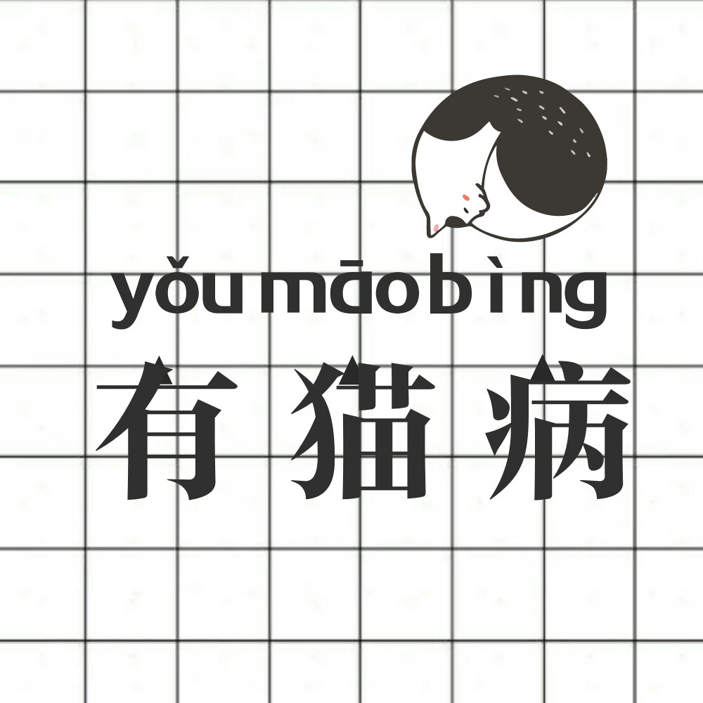 猫咪,文字控