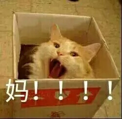 表情包 妈!