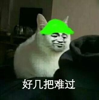 表情包 敲萌的猫咪(●`●)