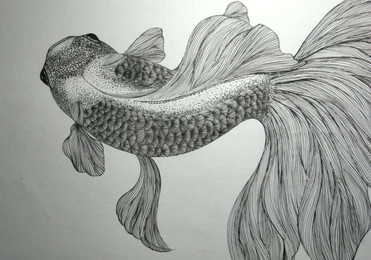 黑白装饰画——鱼