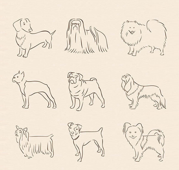 狗狗简笔画