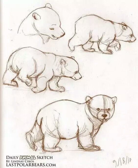 绘画,动物