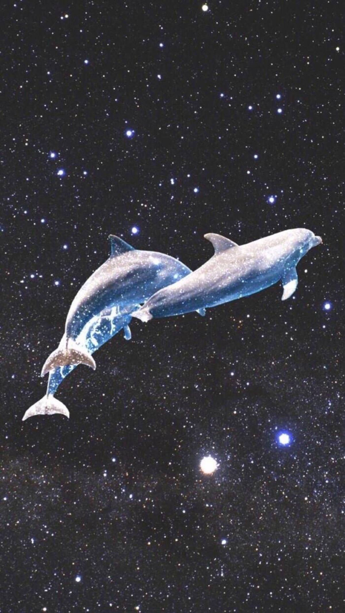 酷狗音乐海豚背景图片图片