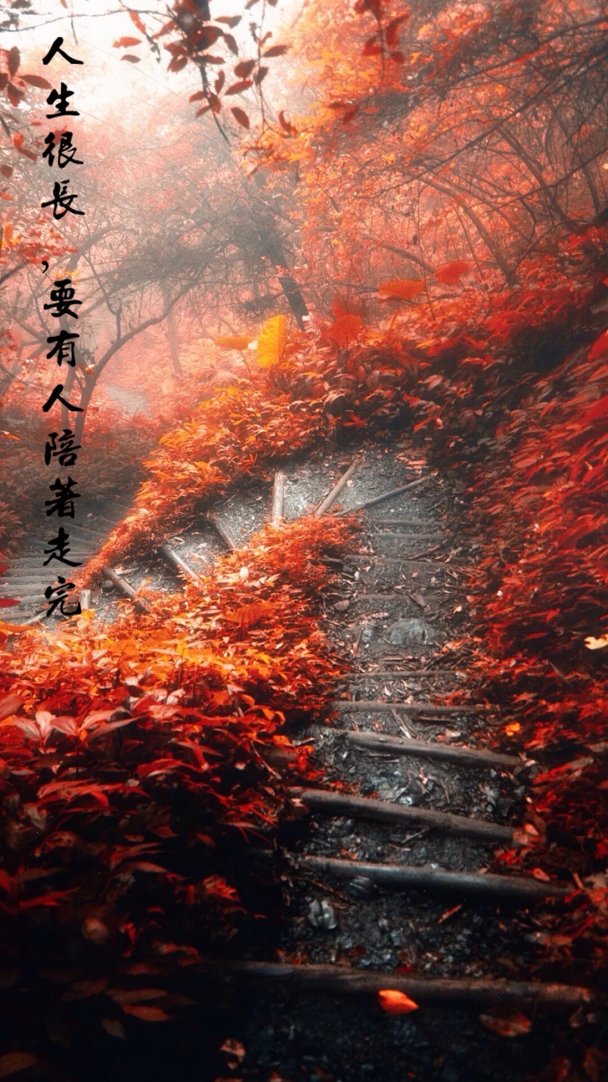 人生路漫漫,你需要有一个停靠的港湾!