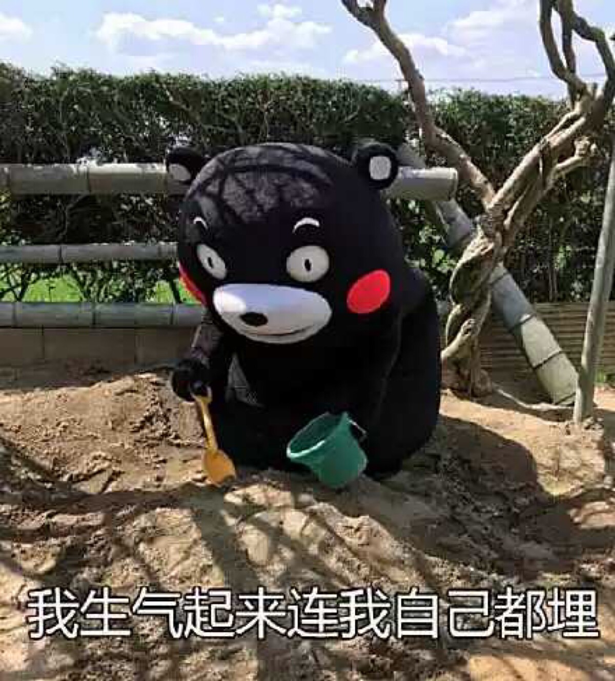 我生气起来连我自己都埋