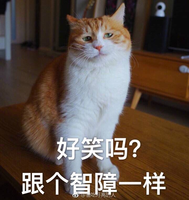 a木头猫日日#哈哈哈这个木头我最v木头小熊小猪表情运猴子图片