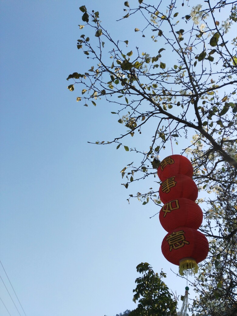 红色.好意头