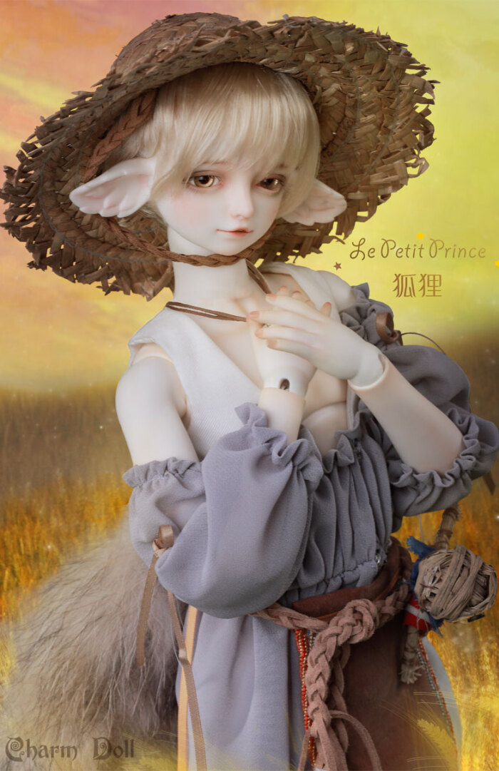 bjd sd 人偶 娃娃 charmdoll 4分狐狸