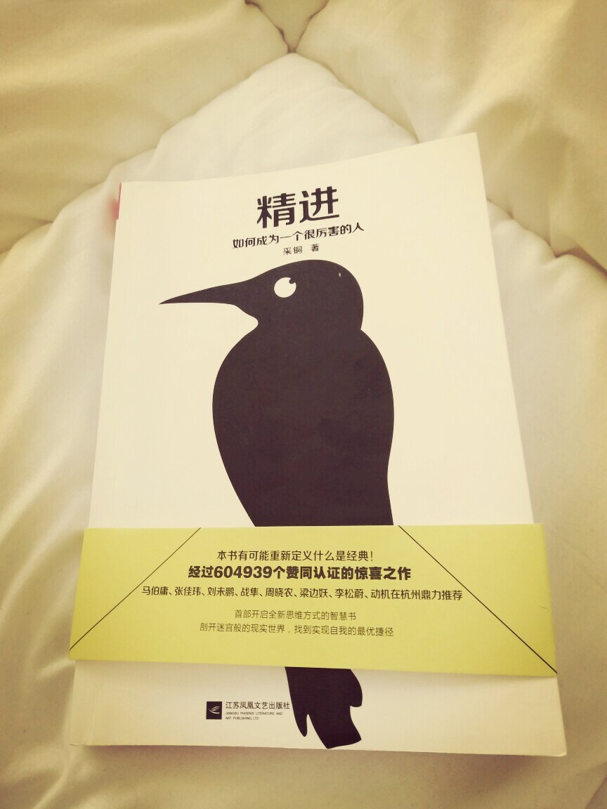 这是一本值得反复咀嚼的书籍,只读一遍肯定是不够滴~《精进·如何