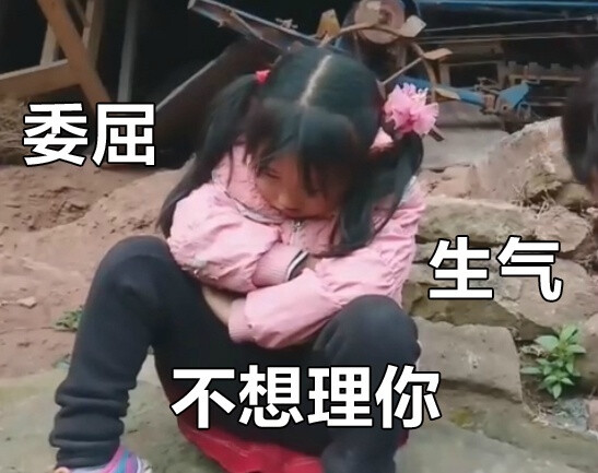 做了一组变形计丽姐表情包.刚看了这集!哈哈超可爱.
