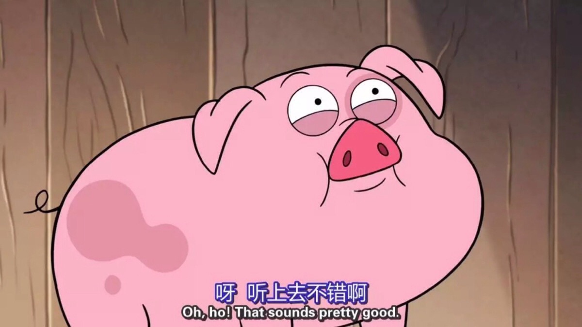 胖猪表情包