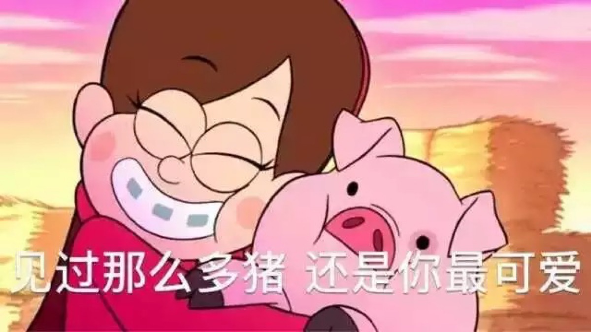胖猪表情包