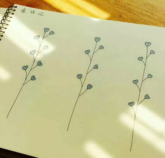 『绘画课堂』 :这样装饰自己的小本本是不是很美