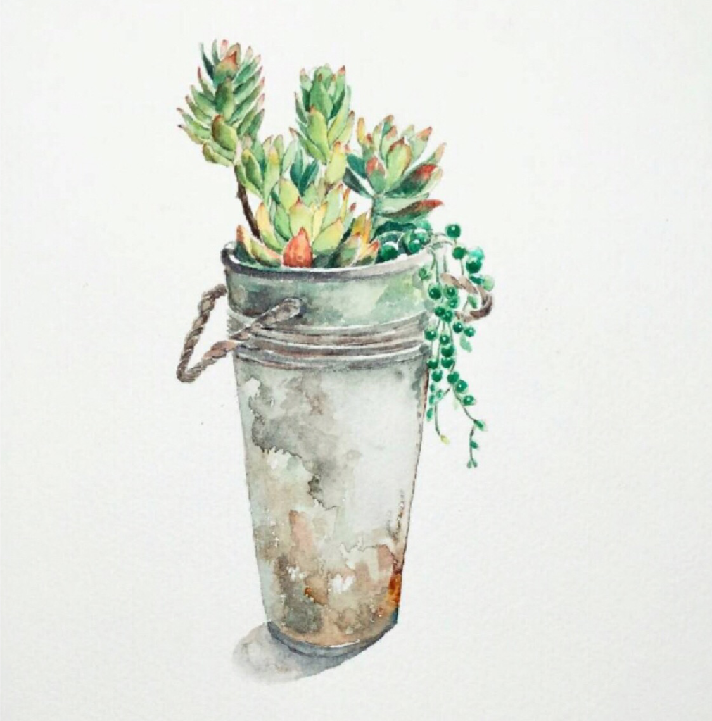 多肉植物#水彩手绘##治愈系##小清新##插画