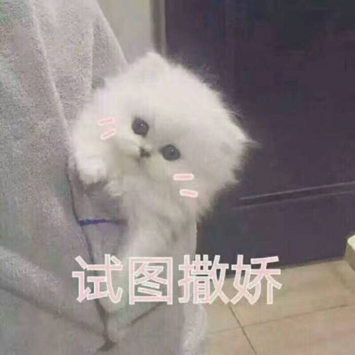 聊天撒娇妹子表情可爱用的表情包试图图片