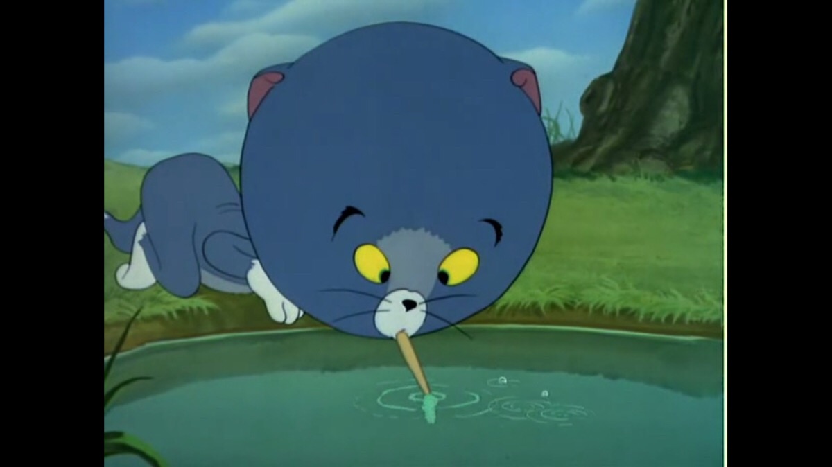 猫和老鼠 tom and jerry