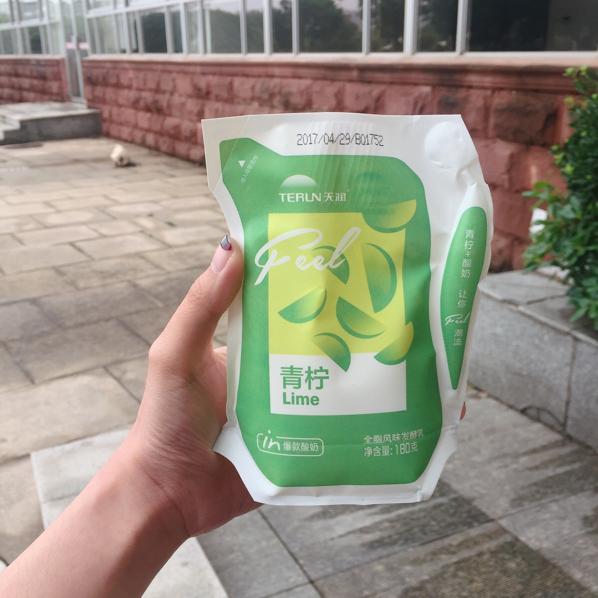 天润 青柠酸奶
