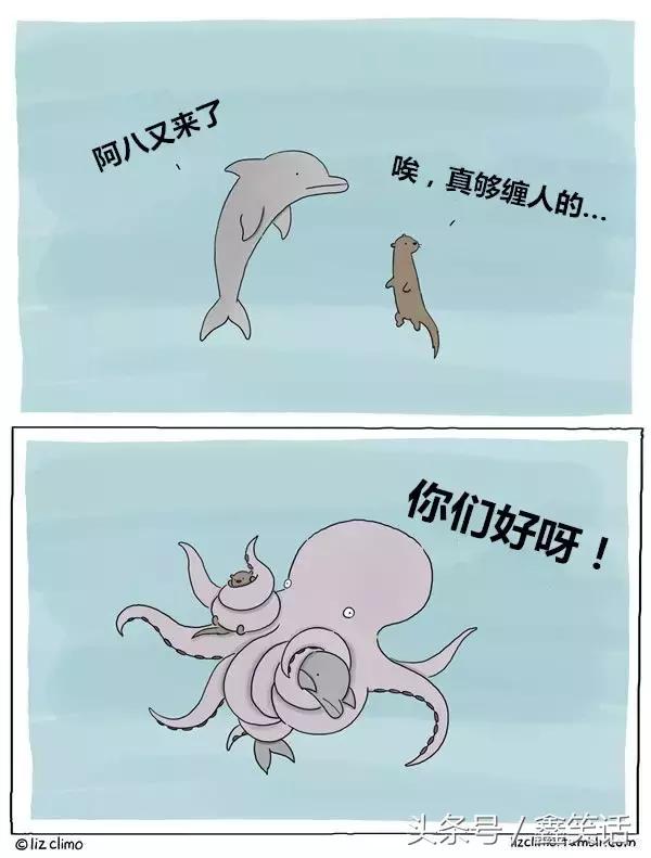 缠人的章鱼