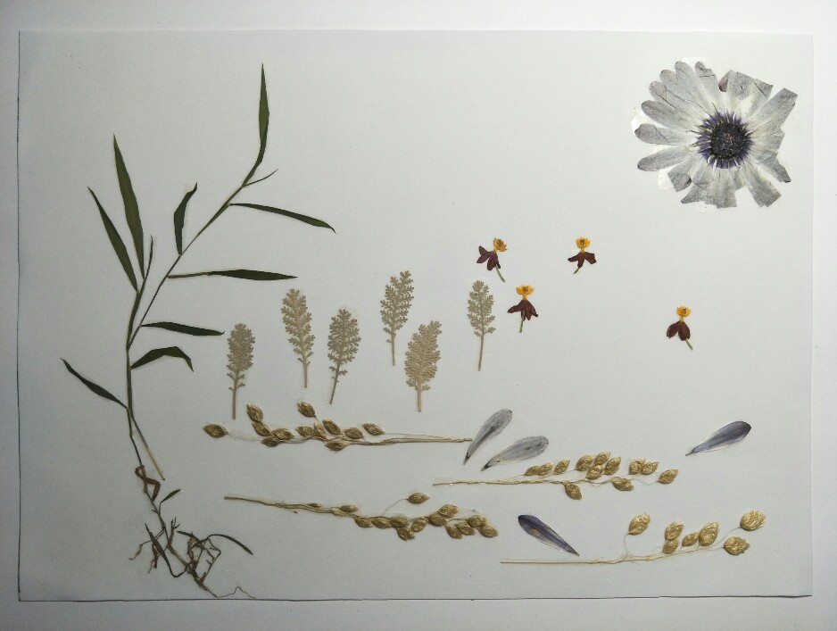 押花作品名称:[花满溪]