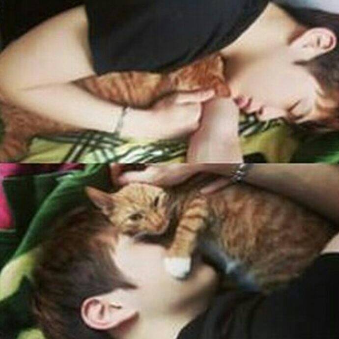 produce 101 姜丹尼尔 姜daniel 【南韩猫奴蛋妮儿(^--^)】