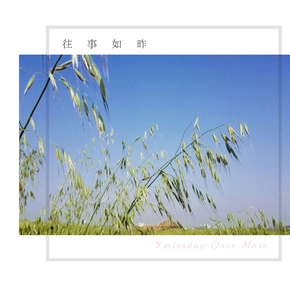 往事随风