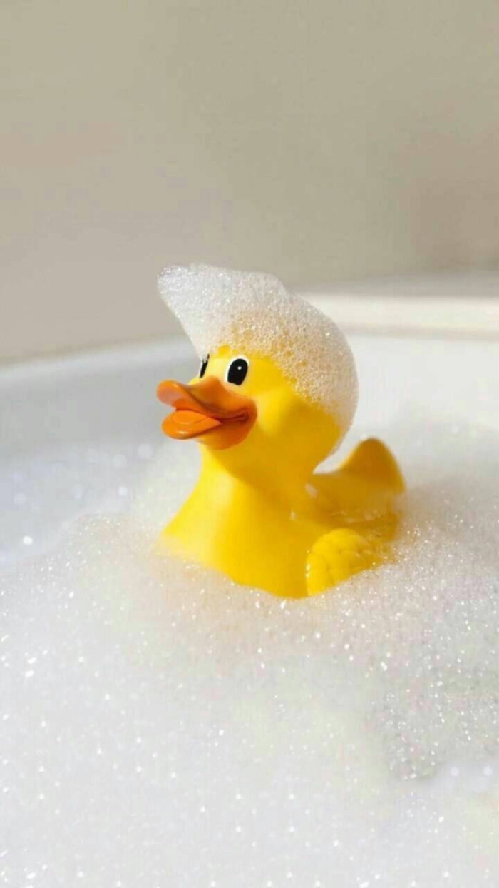 小黄鸭