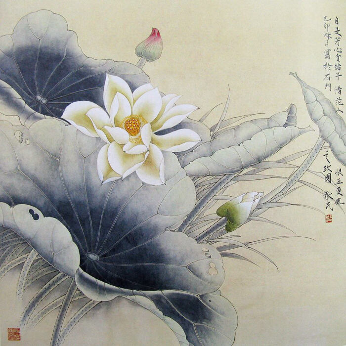 工笔画 荷花