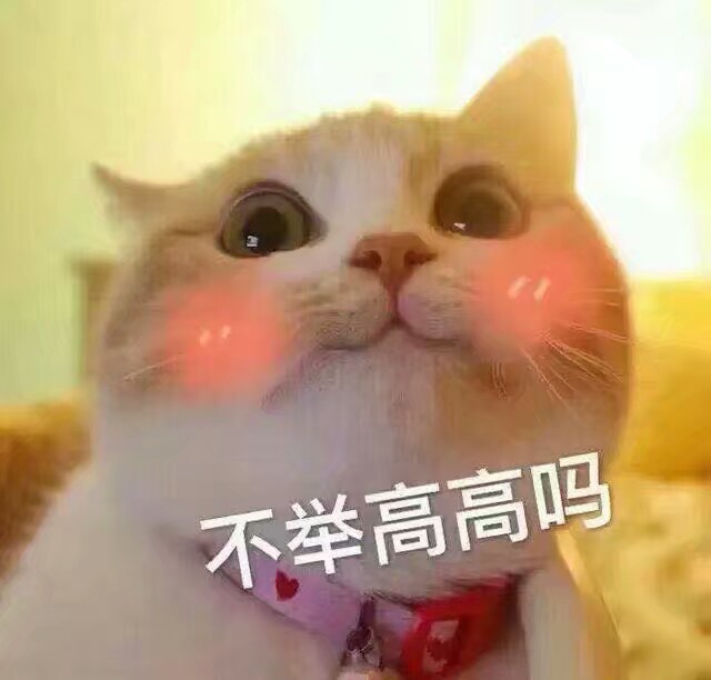 实力斗图 新潮文字表情包 文字表情 韩 权律二 薛之谦表情包 认真搞笑