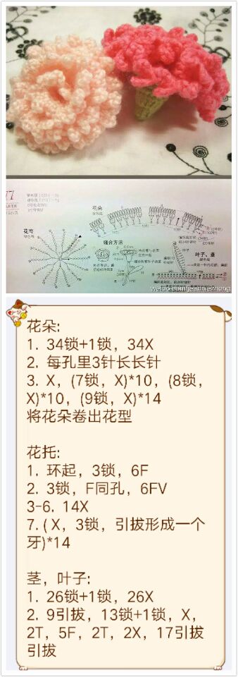 母亲节快乐.钩针康乃馨