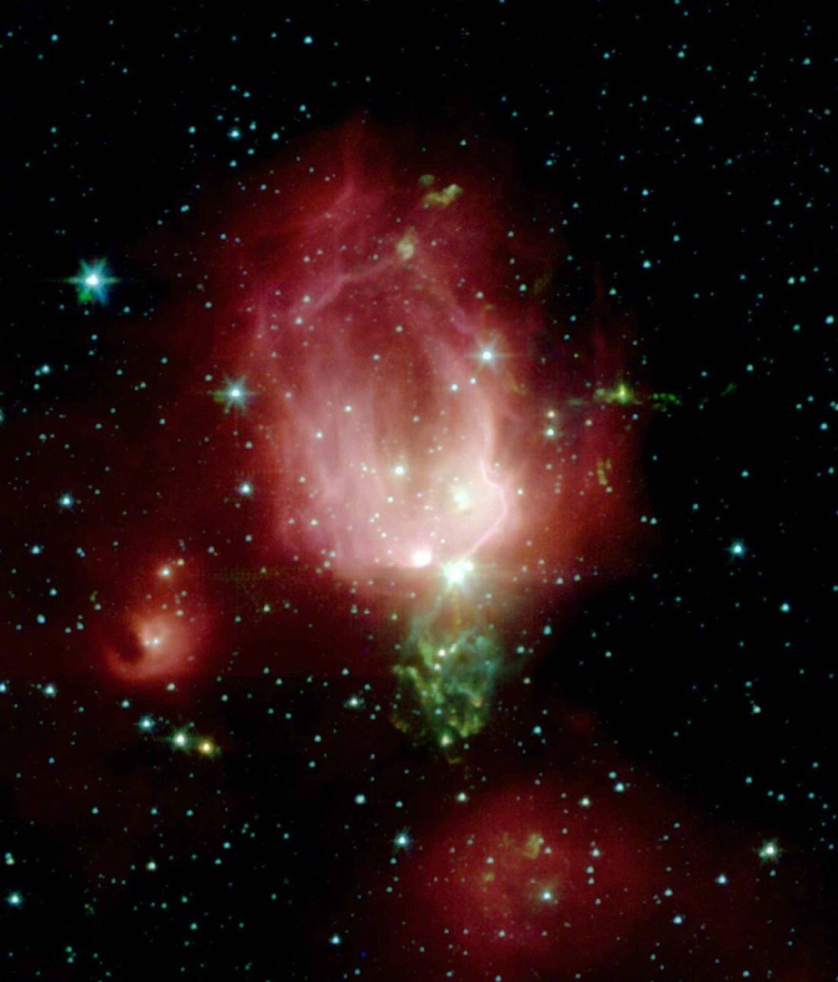这朵星云玫瑰,名为ngc 7129,位于仙王座,距离我们约为3300光年