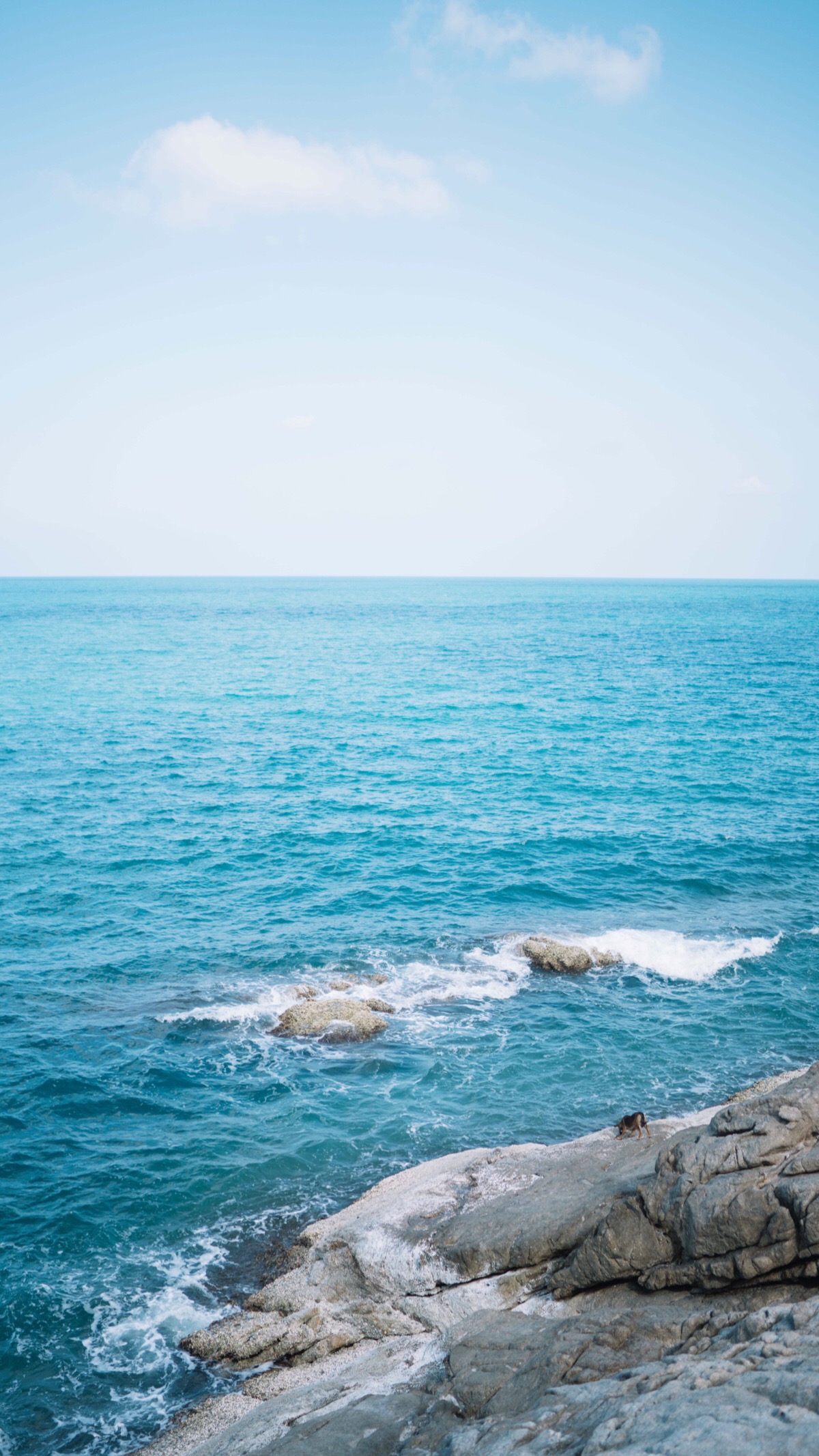 蓝天 大海