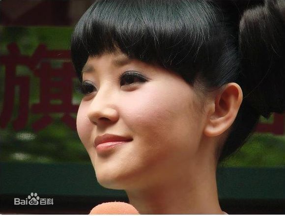 我是大明星 山东综艺频道 中国主持人 中国艺人