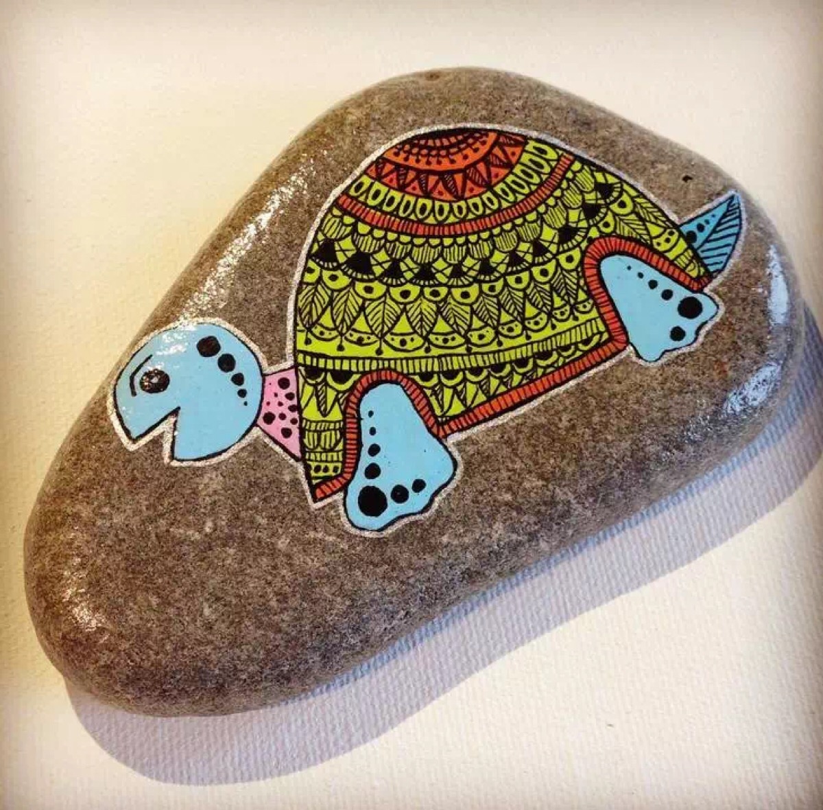 捡回家的石头,洗干净之后