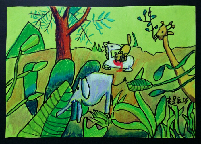 热带雨林简笔画彩色图片