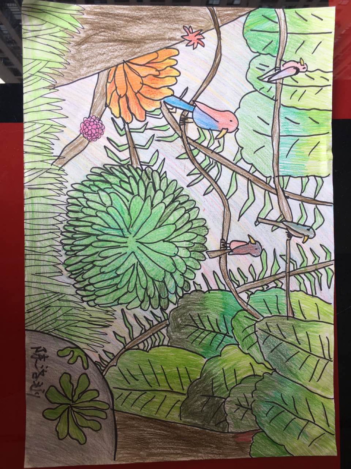 热带雨林简笔画简单图片