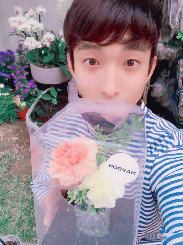 (mingyu)徐明浩(the8)夫胜宽(seungkwan)崔韩率(vernon)李灿(dino)