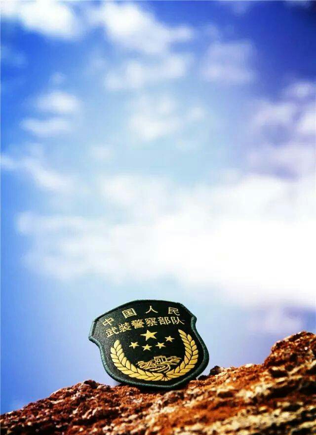 头顶灿烂的国徽 手握冰冷的钢枪