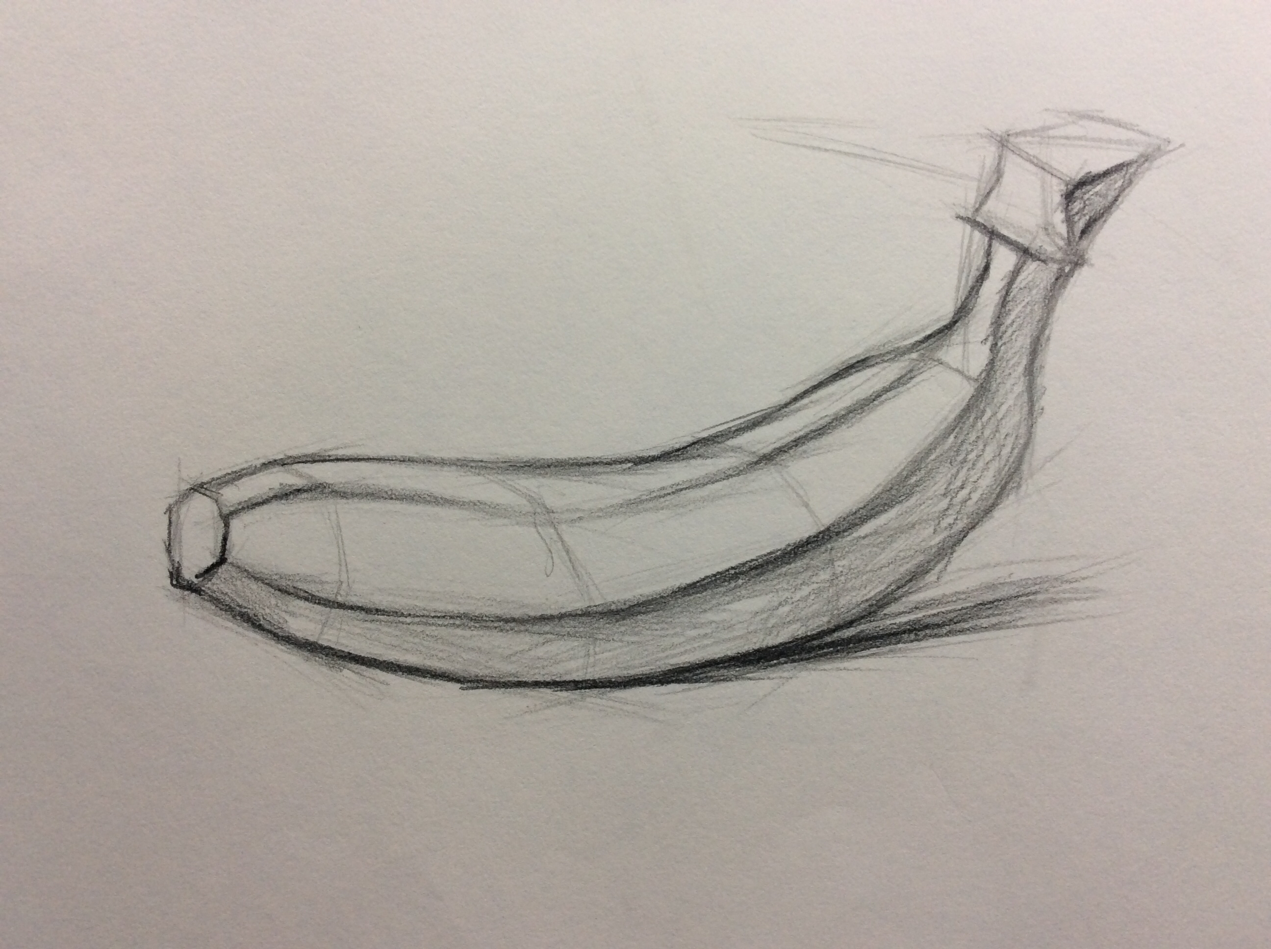 香蕉的结构素描图片