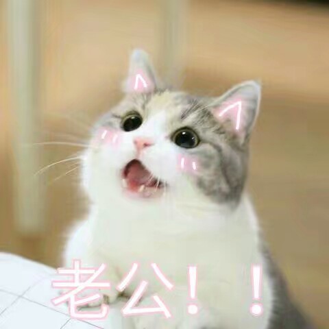 表情包#老公!