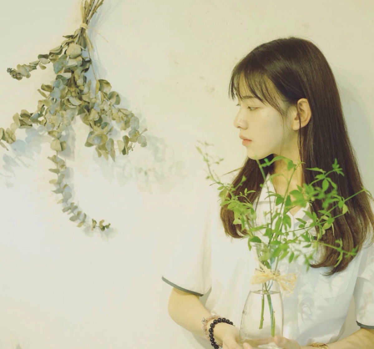我又芍猪了