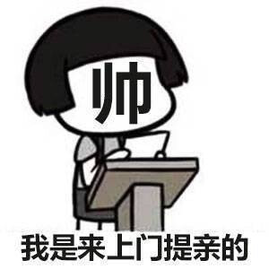 表情帅上门提亲可爱搞笑斗图表情…-堆信表情九门微大提督包图片