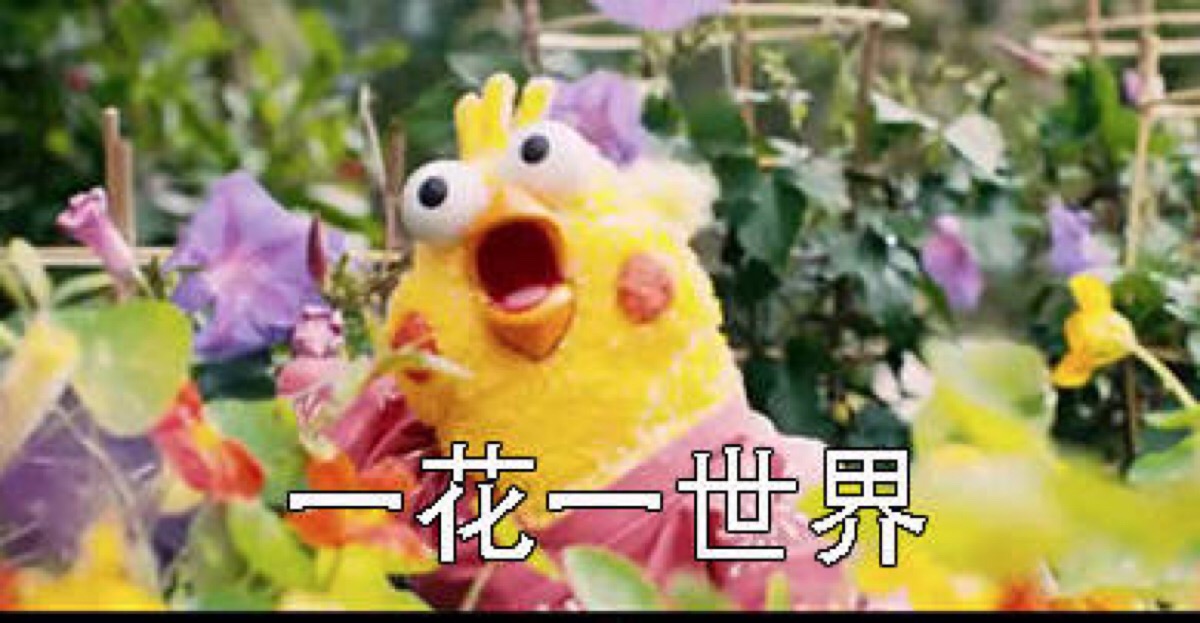 小黄鸡系列表情包.绝对萌系列的表情包啊!