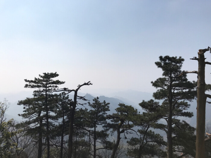 天目山 