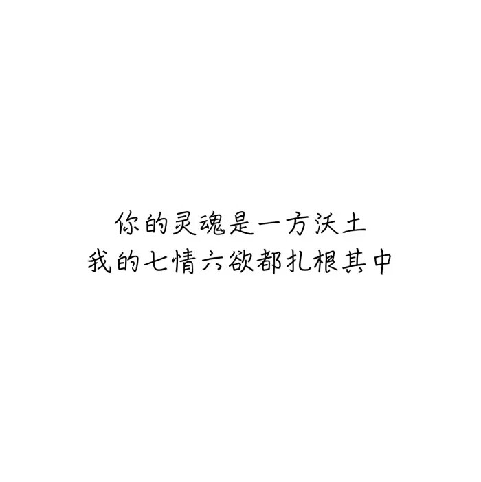 表白文字
