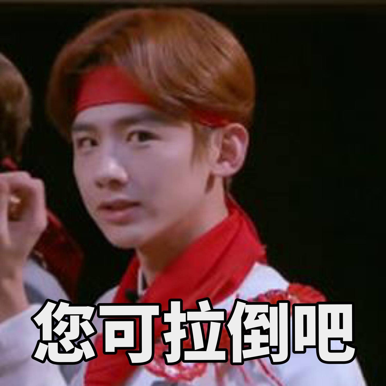 白敬亭 表情包