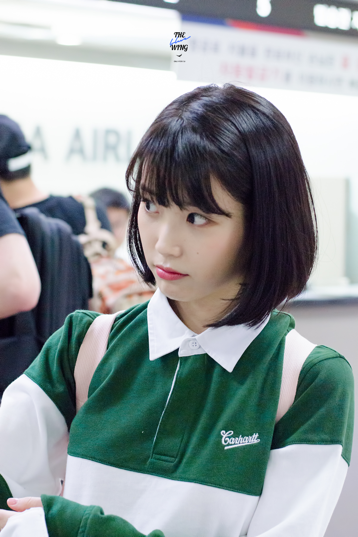 iu 李智恩 延世大学校庆 金浦机场